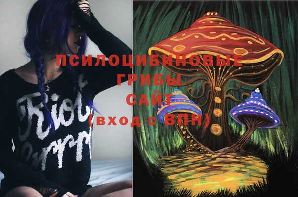 соль ск Белокуриха