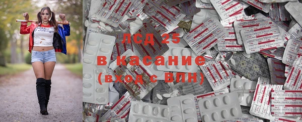 стафф Беломорск