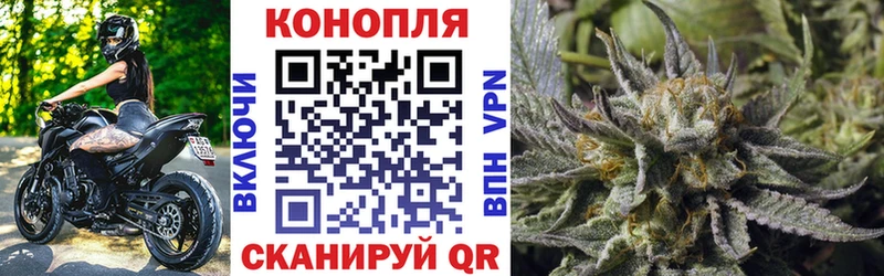 Конопля сатива  Купить  Кубинка 